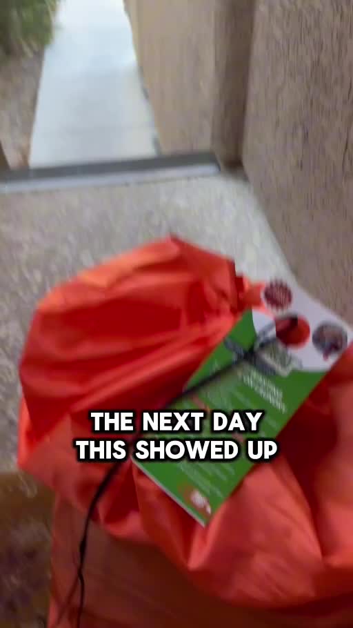 Wash N Folded: frame from Lea’s original video